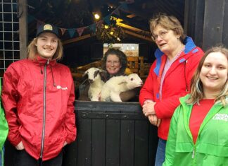 PvdA GroenLinks Nunspeet adopteert lammetjes ‘Dien’ en ‘Michel’: Een eerbetoon aan politieke iconen